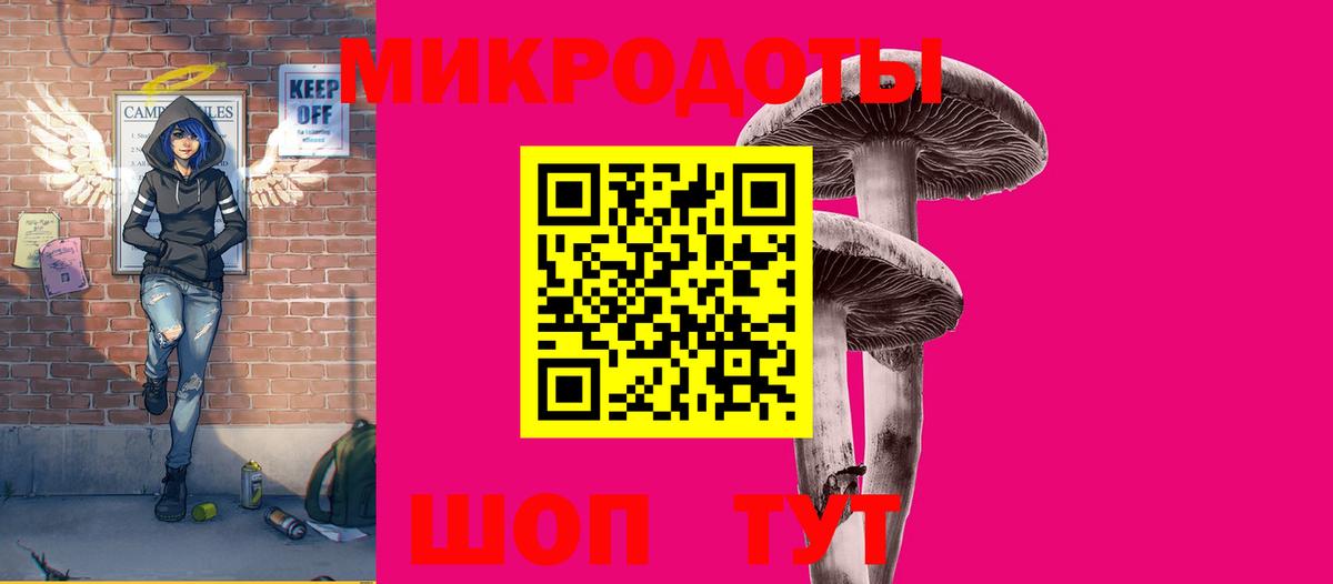 где найти   Вход с VPN  Осинники  Псилоцибиновые грибы Cubensis 
